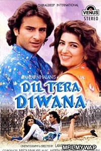 Dil Tera Diwana (1996) Bollywood Hindi Movie