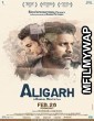 Aligarh (2015) Bollywood Hindi Movie