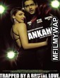 Ankahee (2006) Bollywood Hindi Movie