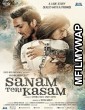 Sanam Teri Kasam (2016) Bollywood Hindi  Movie