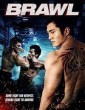 Brawl (2012) Hindi Dubbed Movie