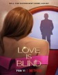 Love Is Blind (2020) Hindi Dubbed Season 1 Complete Show