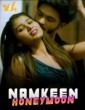 Namkeen Honeymoon (2024) WaahApp Hindi Short Film