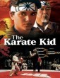 The Karate Kid (1984) ORG Hindi Dubbed Movie