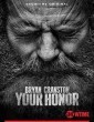 Your Honor (2020) Hindi Dubbed Season 1 Complete Web Series